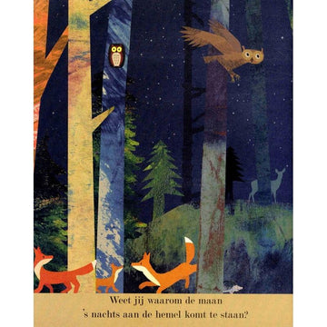 In de maneschijn - Britta Teckentrup - Veltman Uitgevers